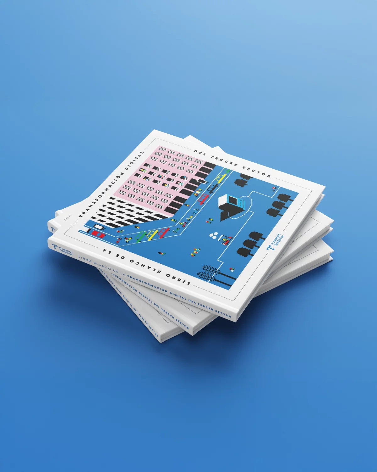 Libro Blanco del Tercer Sector